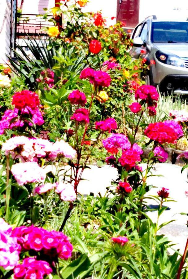 At the seaside Pitsunda Exterior foto